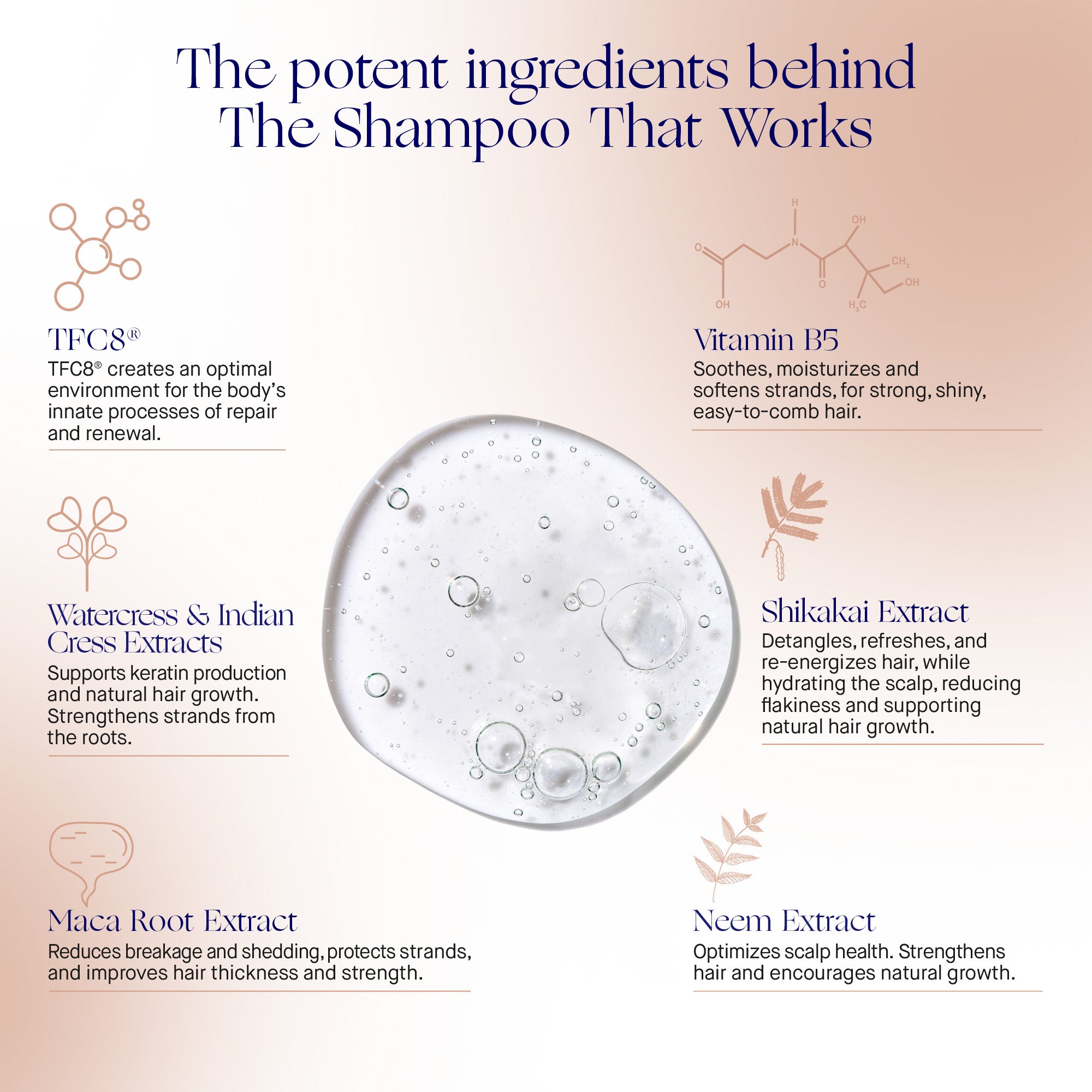 The Shampoo