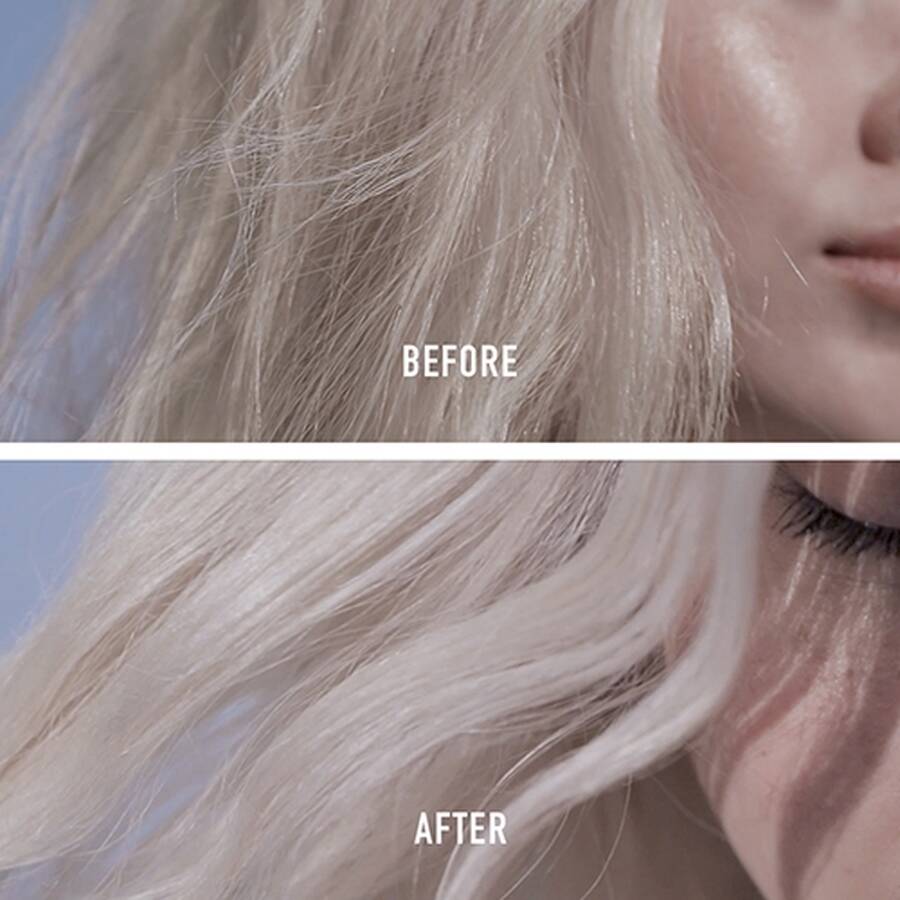 BLOND ABSOLU